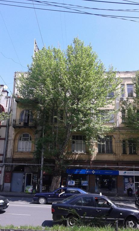 Vera Garden Apartment Tbilisi Buitenkant foto